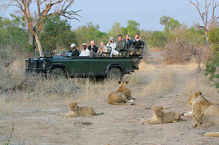 Things to do in Hoedspruit