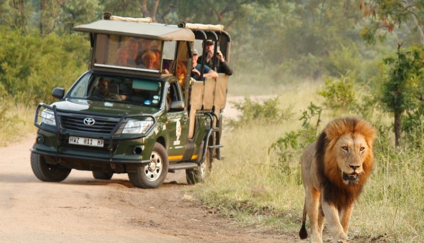Things to do in Kruger National Park