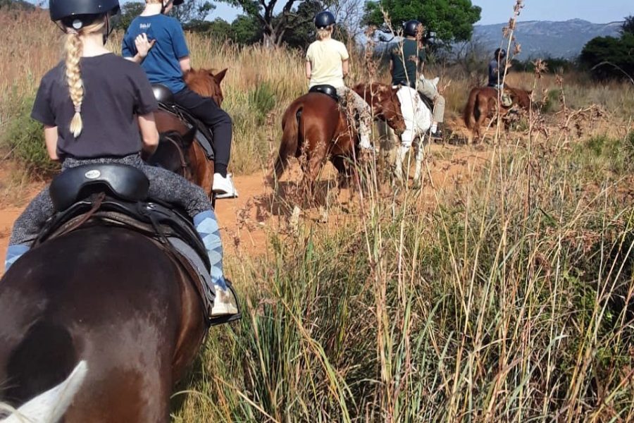 Dullstroom Horseriding - 1 Hour Trail