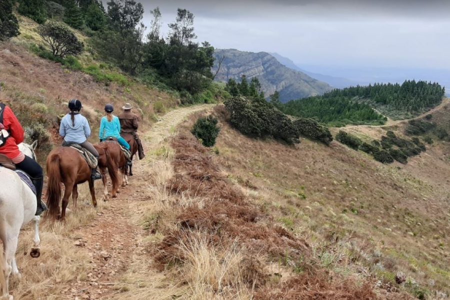 Magoebaskloof Horse Riding