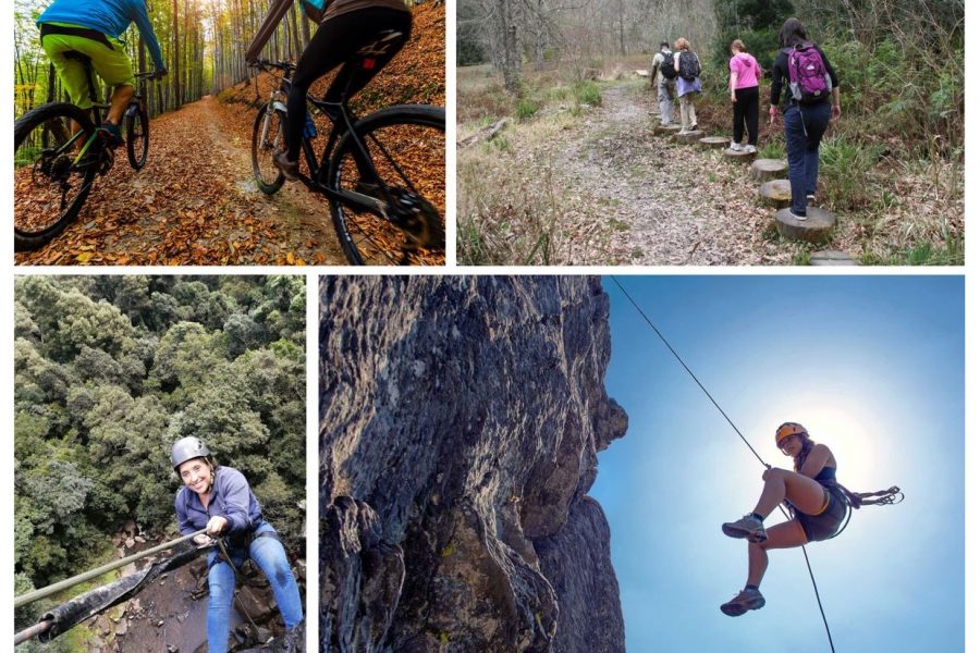 Hogsback Combo Collage