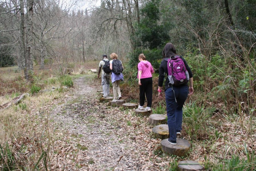 Hogsback Guided Hike