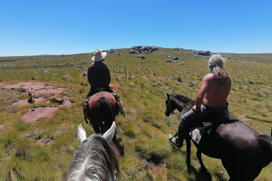 Hogsback Horse Ride